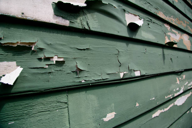Best Custom Trim and Detailing for Siding  in Harvest, AL