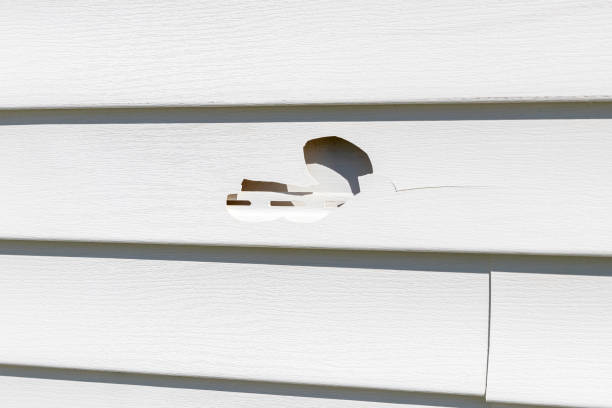Best James Hardie Siding  in Harvest, AL